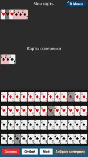 Дурак Помощник capture 1