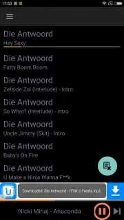 Fildo capture 4