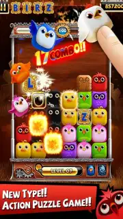 Birzzle capture 5