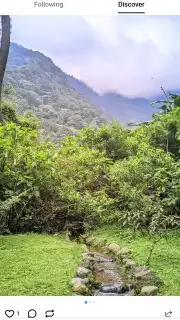 UpScrolled capture 5