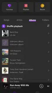 Mi Music capture 12