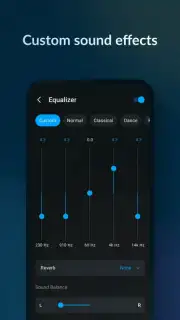 Lark Player - MP3 Music Player capture 5