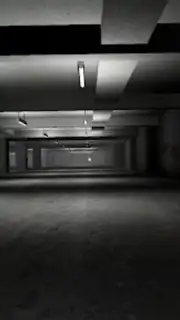 Backrooms capture 4