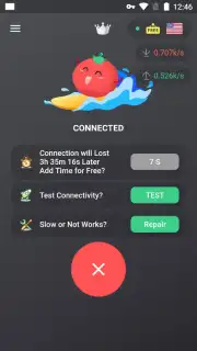 VPN Tomato capture 3