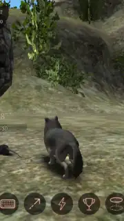 The Wolf capture 5