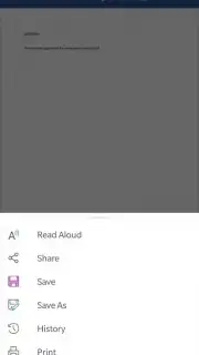 Microsoft Word capture 14
