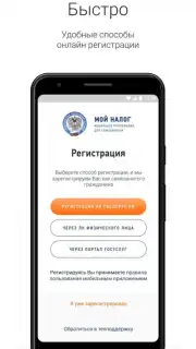 Мой Налог capture 2