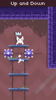 Cat Bird capture 13