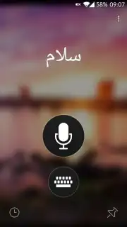 Microsoft Translator capture 7