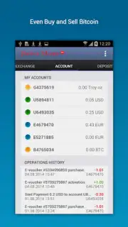 Perfect Money capture 3