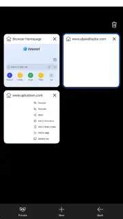 Internet Browser capture 8