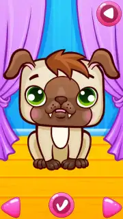 Pet Spa capture 7