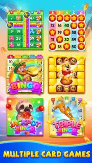 Bingo Voyage capture 5