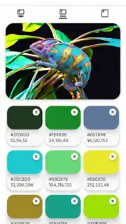 Color Palette capture 6