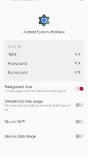 Android System WebView capture 1