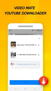 Vidora YouTube Downloader | free & fast capture 11