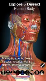 3D Anatomy Learning capture 6