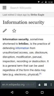 Krypton Anonymous Browser capture 2