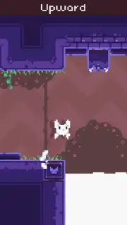 Cat Bird capture 5