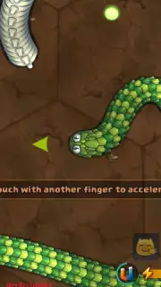 Little Big Snake capture 8