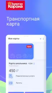 Транспортная карта capture 7