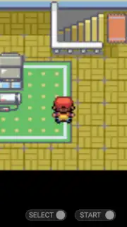 Pokemon Collection capture 6