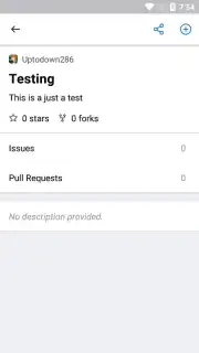 GitHub capture 3