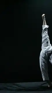 Kung Fu capture 3