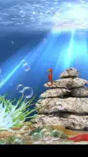 Tropical aquarium capture 6