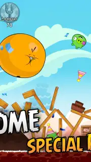 Angry Birds capture 3