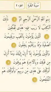Noor Islam capture 5