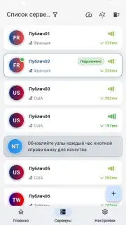 ZipVPN capture 3