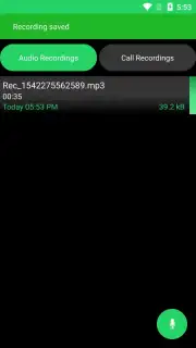 Hidden Voice Recorder capture 5