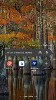Microsoft Edge Dev capture 1