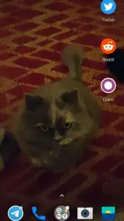 Transparent Screen & Live Wallpaper capture 4