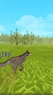 WildCraft capture 6