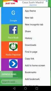 Pak Browser capture 6