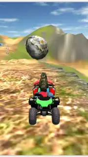 Offroad Quad Bike capture 8