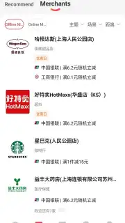 UnionPay capture 10