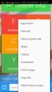 cheetah browser capture 2