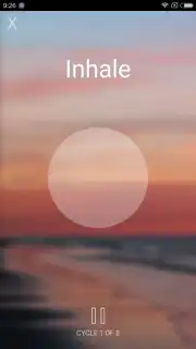 Sanvello capture 10