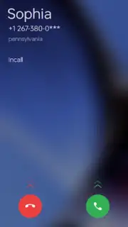 ODialer capture 6