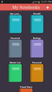 My Notebooks capture 2