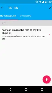 Lingvo Live capture 4