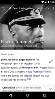 Wikipedia capture 4