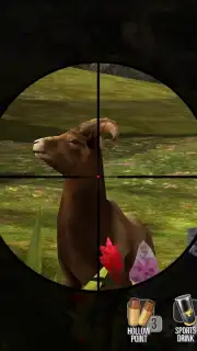 Deer Hunter Classic capture 7