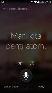 Microsoft Translator capture 1