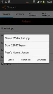Share it capture 8