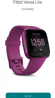 Fitbit capture 3