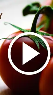 HD Video Downloader Free capture 3